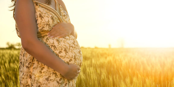 pregnant mother in a field at sunset 